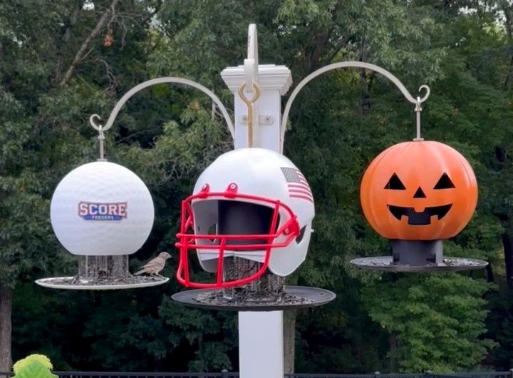 A golf ball ScoreShell, an American flag football helmet inspired ScoreShell and a jack-o-lantern ScoreShell hanging on one garden pole, with a small bird feeding from the golf ball tray